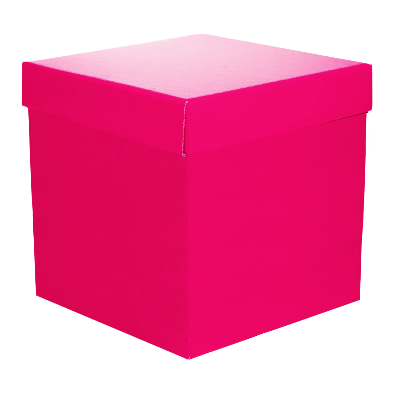 Cubo C/Tapa de Color 9300