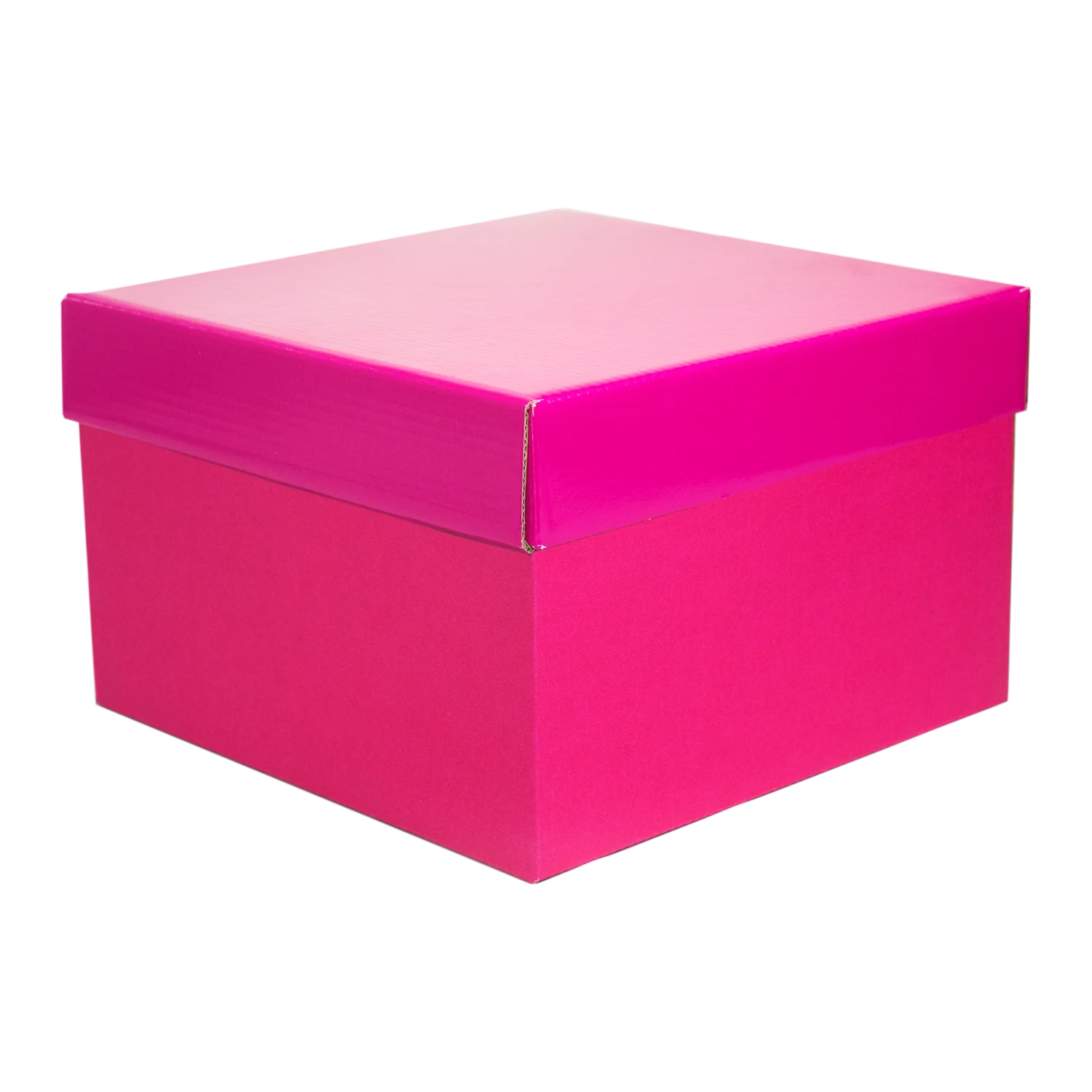 Cubo C/Tapa de Color 9300